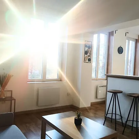 Lumineux Et Pratique Sejour Pro Lille * Mons-en-Baroeul